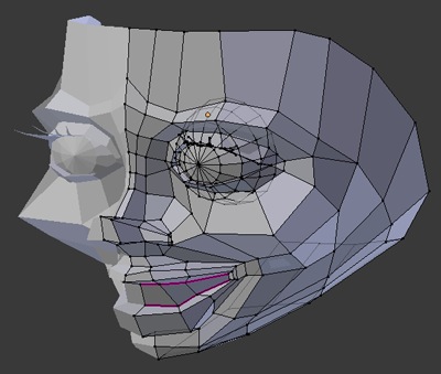 nina face mesh